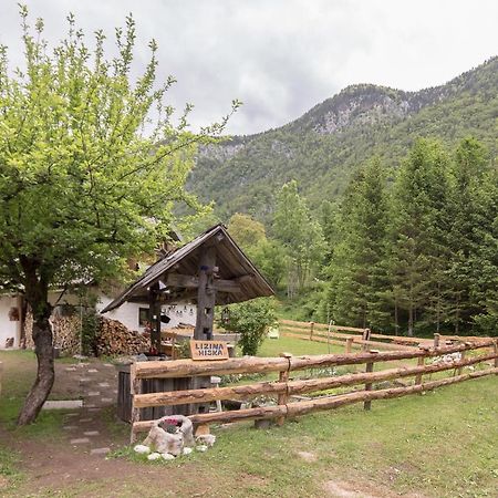 Lizina Hiska House Bohinj Villa Bohinjska Bistrica ภายนอก รูปภาพ
