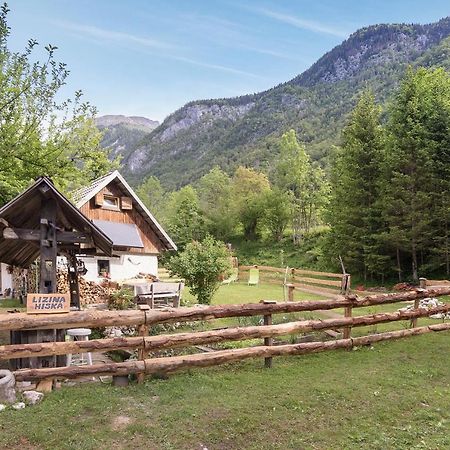 Lizina Hiska House Bohinj Villa Bohinjska Bistrica ภายนอก รูปภาพ