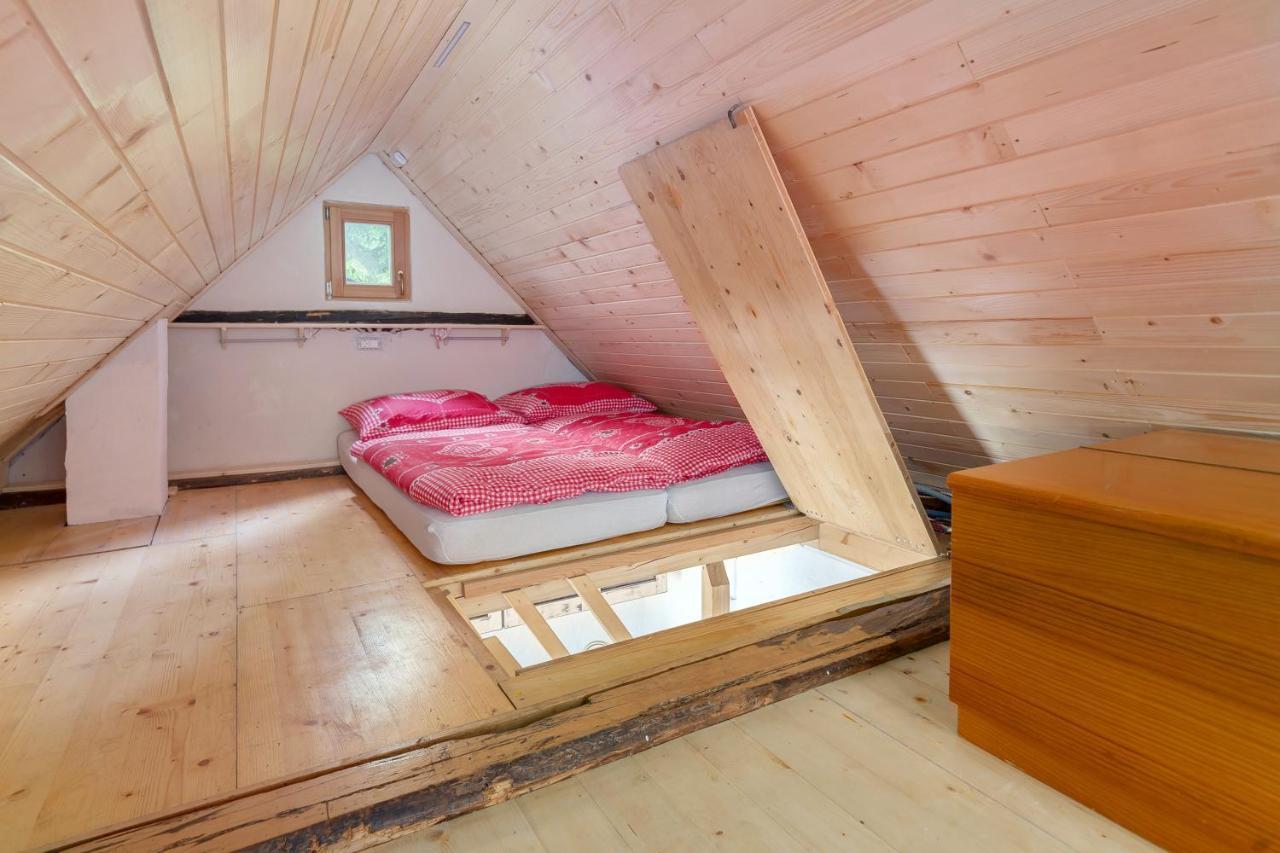 Lizina Hiska House Bohinj Villa Bohinjska Bistrica ภายนอก รูปภาพ