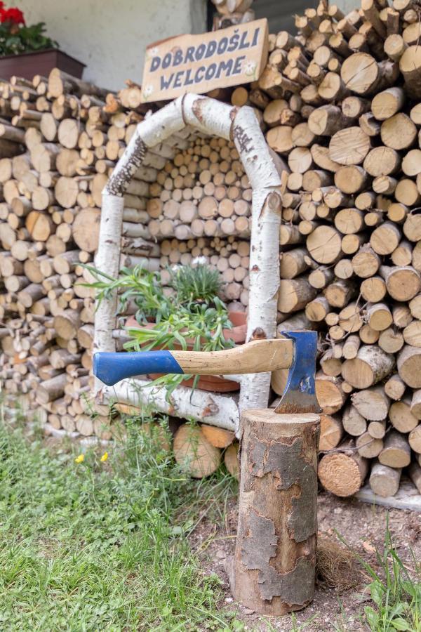 Lizina Hiska House Bohinj Villa Bohinjska Bistrica ภายนอก รูปภาพ