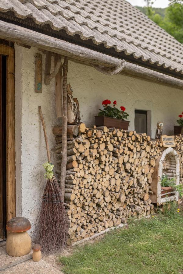 Lizina Hiska House Bohinj Villa Bohinjska Bistrica ภายนอก รูปภาพ