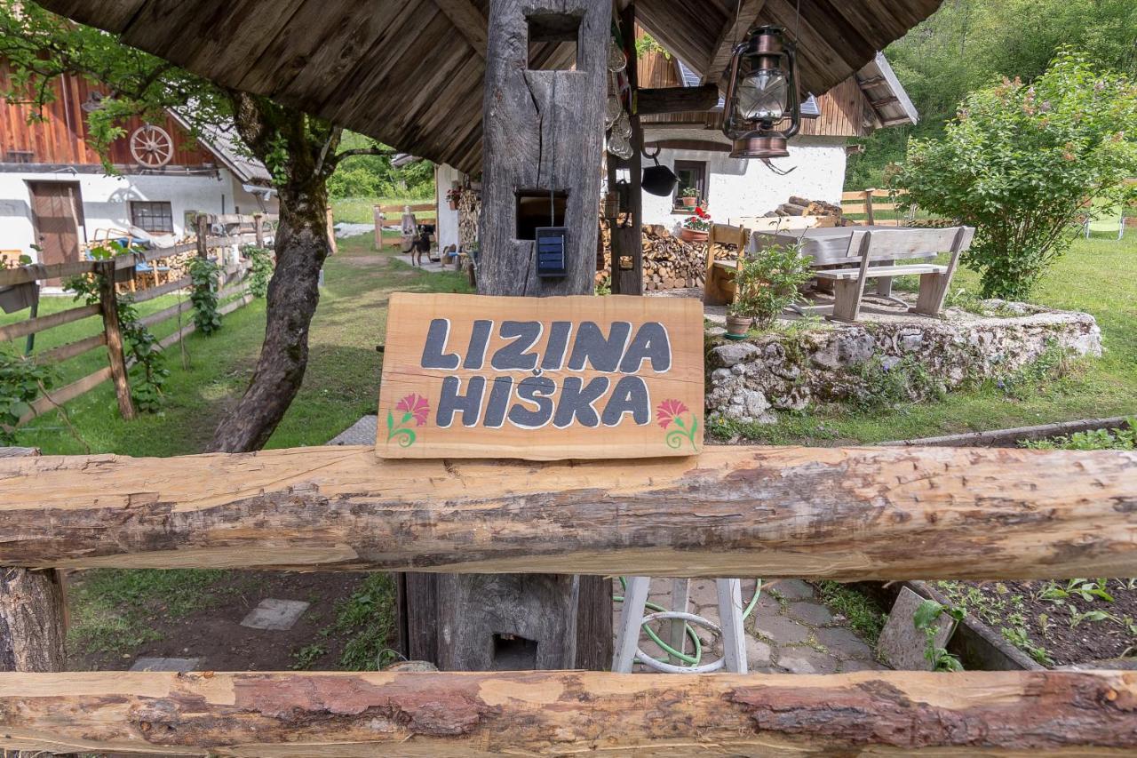 Lizina Hiska House Bohinj Villa Bohinjska Bistrica ภายนอก รูปภาพ