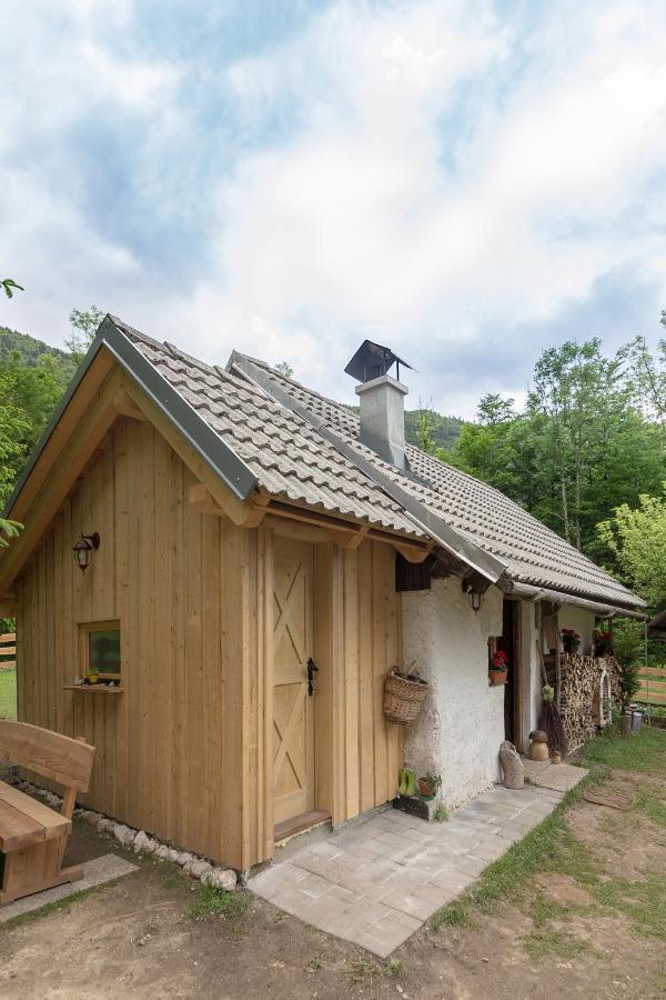Lizina Hiska House Bohinj Villa Bohinjska Bistrica ภายนอก รูปภาพ