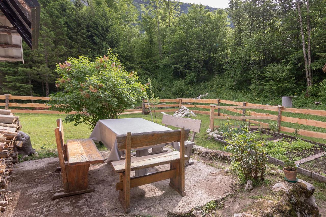 Lizina Hiska House Bohinj Villa Bohinjska Bistrica ภายนอก รูปภาพ